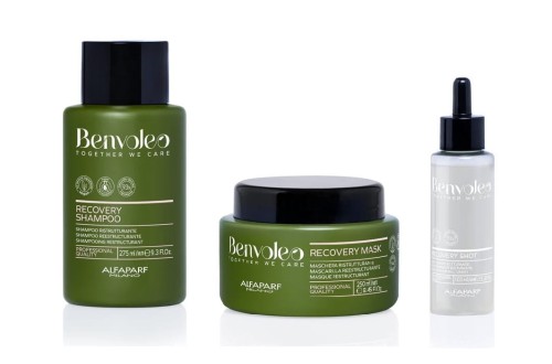Alfaparf benvoleo recovery Zestaw odbudowujący do włosów zniszczonych szampon 275ml maska 250ml shot 100ml