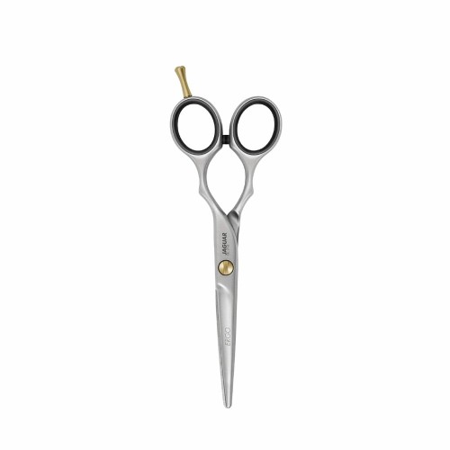 jaguar pre style ergo.jpg