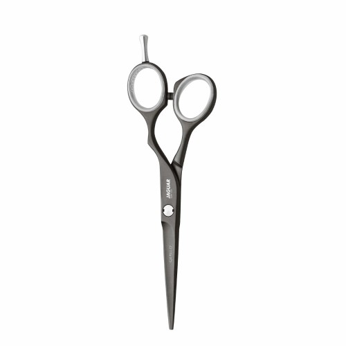 jaguar silver line cj4 plus cf.jpg