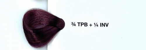 Aubergine blonde 3.4 TPB +1.4 INV.png