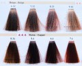RR Line Profesjonalna farba do włosów 100ml(1).jpg