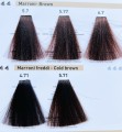 RR Line Profesjonalna farba do włosów 100ml(1).jpg