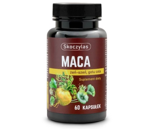 Skoczylas Maca + żeń-szeń + gotu cola Suplement diety 60 kapsułek.jpg