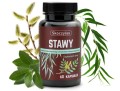 Skoczylas Stawy Suplement diety 60 kapsułek
