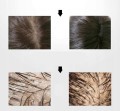 Scalp brush Borovsky Szczotka do pielęgnacji włosów i skóry głowy silver.jpg