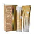 Joico k-pak Zestaw regenerujący do włosów Szampon 300ml Odżywka 250ml.jpg