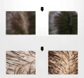 Scalp brush Borovsky Szczotka do pielęgnacji włosów i skóry głowy gold.jpg