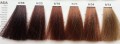 Lisap LK Oil protection Fantasia.jpg
