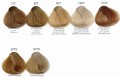 Diapason Farba do włosów Beżowe.jpg
