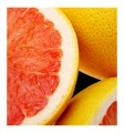 Yodeyma perfumy Root