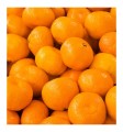 Yodeyma perfumy Escitia