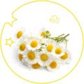 Yodeyma perfumy Kids