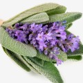 Yodeyma perfumy Wow scent!