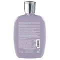 ALFAPARF SDL Smooth Szampon wygładzający do włosów 250ml