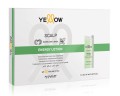 Yellow scalp energy Ampułka przeciw wypadaniu włosów jedna sztuka 13ml
